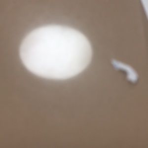 Meet your Posher, Bryan